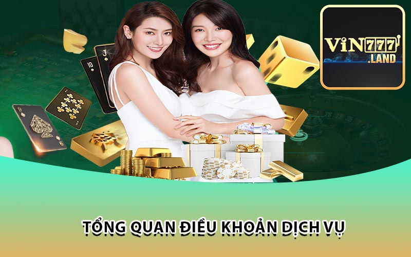 Tổng Quan Điều Khoản Dịch Vụ